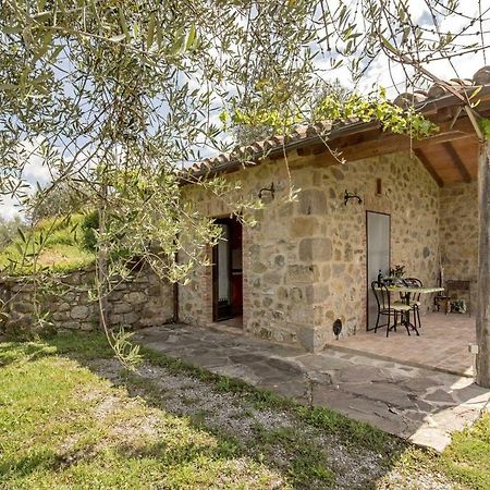 La Casina Degli Olivi Guest House Seggiano Ngoại thất bức ảnh