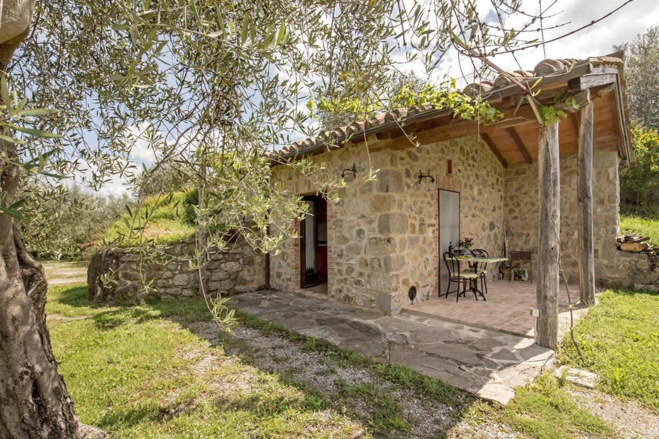 La Casina Degli Olivi Guest House Seggiano Ngoại thất bức ảnh