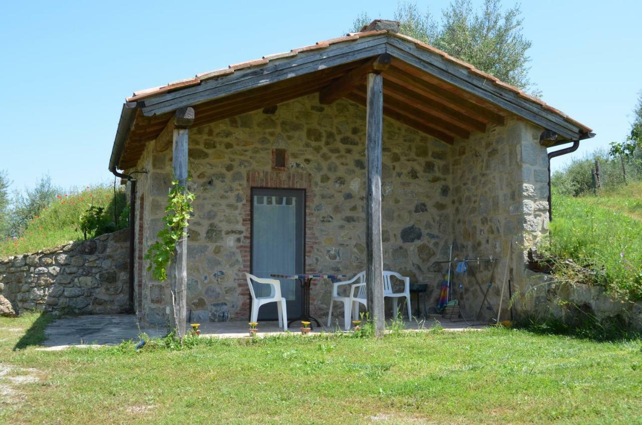 La Casina Degli Olivi Guest House Seggiano Ngoại thất bức ảnh