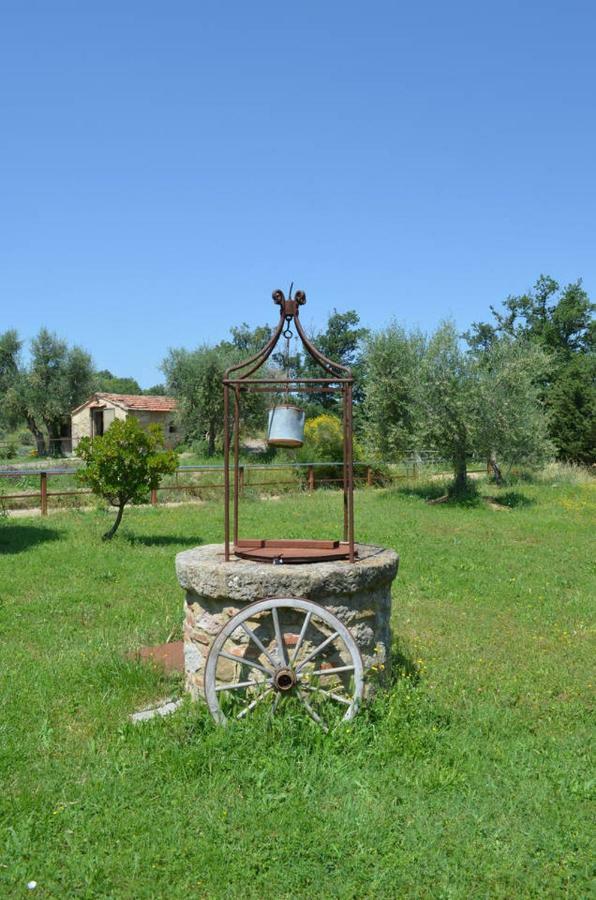 La Casina Degli Olivi Guest House Seggiano Ngoại thất bức ảnh