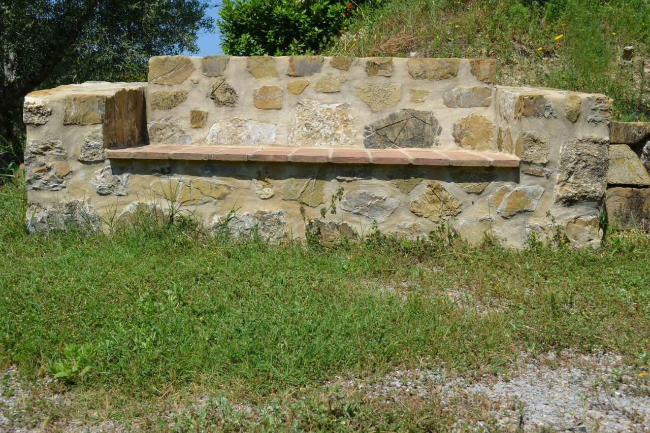 La Casina Degli Olivi Guest House Seggiano Ngoại thất bức ảnh